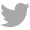 image of Twitter icon