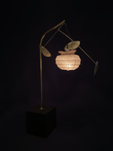 Untitled (persimmon lantern)