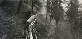 Broughton Flume, Collapsed Section at Line Shack, Skamania Co., WA