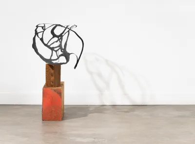Heather Watkins, Unbound Volume (10), 2023, ink, paper, wire, wood, 27" x 18" x 13"