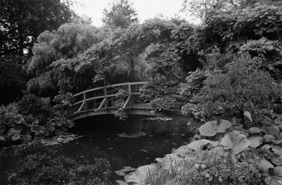 black and white photograph of Monet's Garden at Giverny, France by Susan Seubert