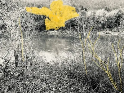 Georgina Reskala, Horas Transparentes, 2022. Courtesy the artist. Georgina Reskala, Horas Transparentes, 2022. Courtesy the artist.
